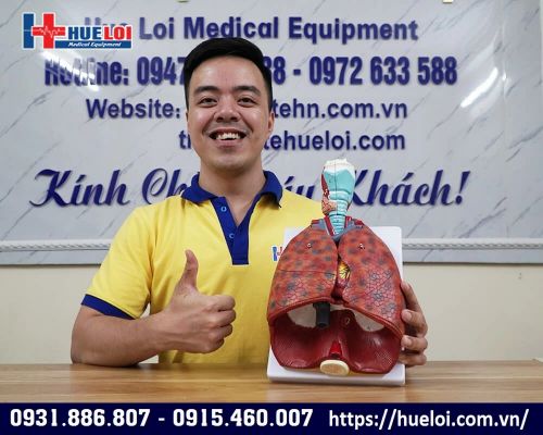 Mô hình tim phổi người