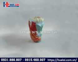 Mô hình giải phẫu họng thanh quản