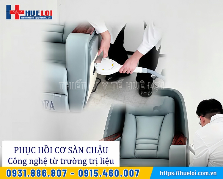 ghế ngồi từ trường phục hồi cơ sàn chậu