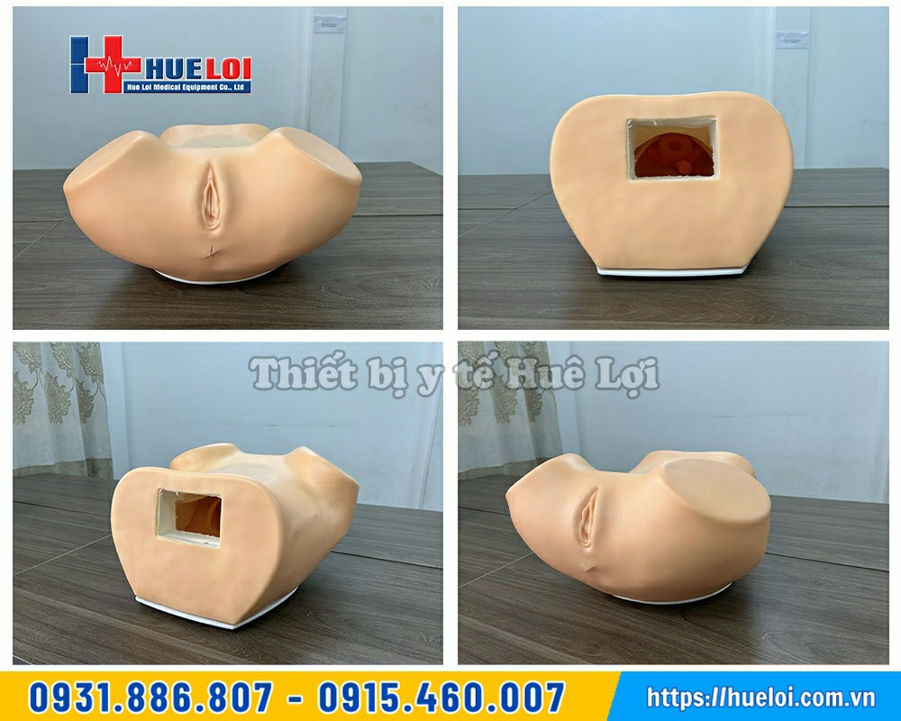 mô hình thực hành khám phụ khoa